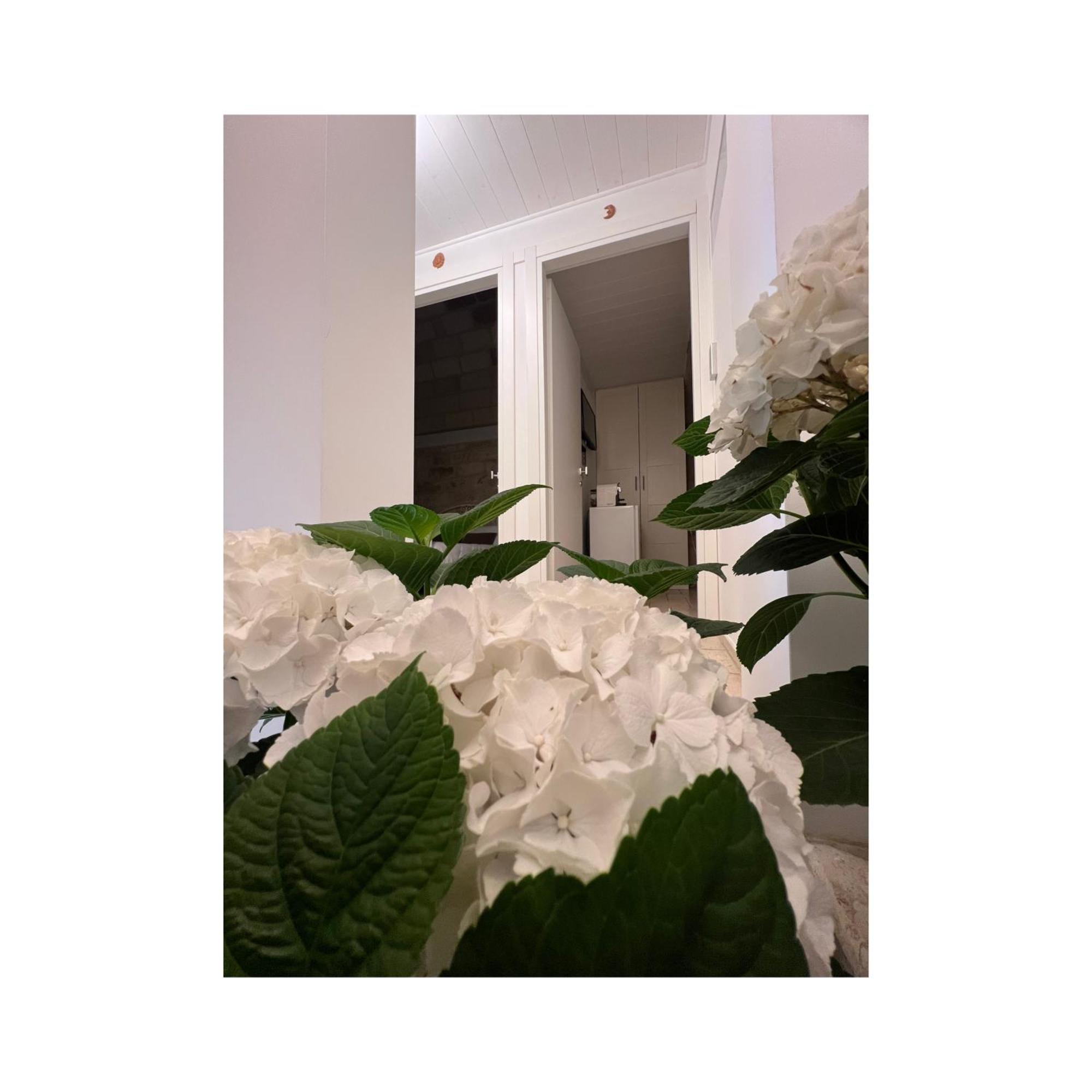 Locus Amoenus Hotel Polignano a Mare Bagian luar foto